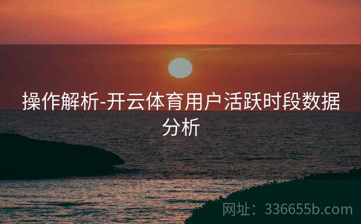 操作解析-开云体育用户活跃时段数据分析