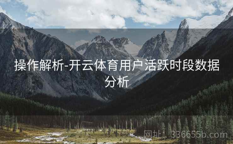 操作解析-开云体育用户活跃时段数据分析