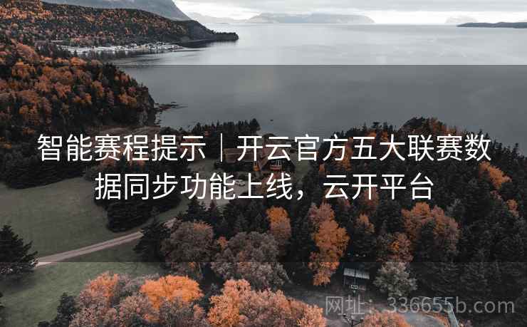 智能赛程提示｜开云官方五大联赛数据同步功能上线，云开平台